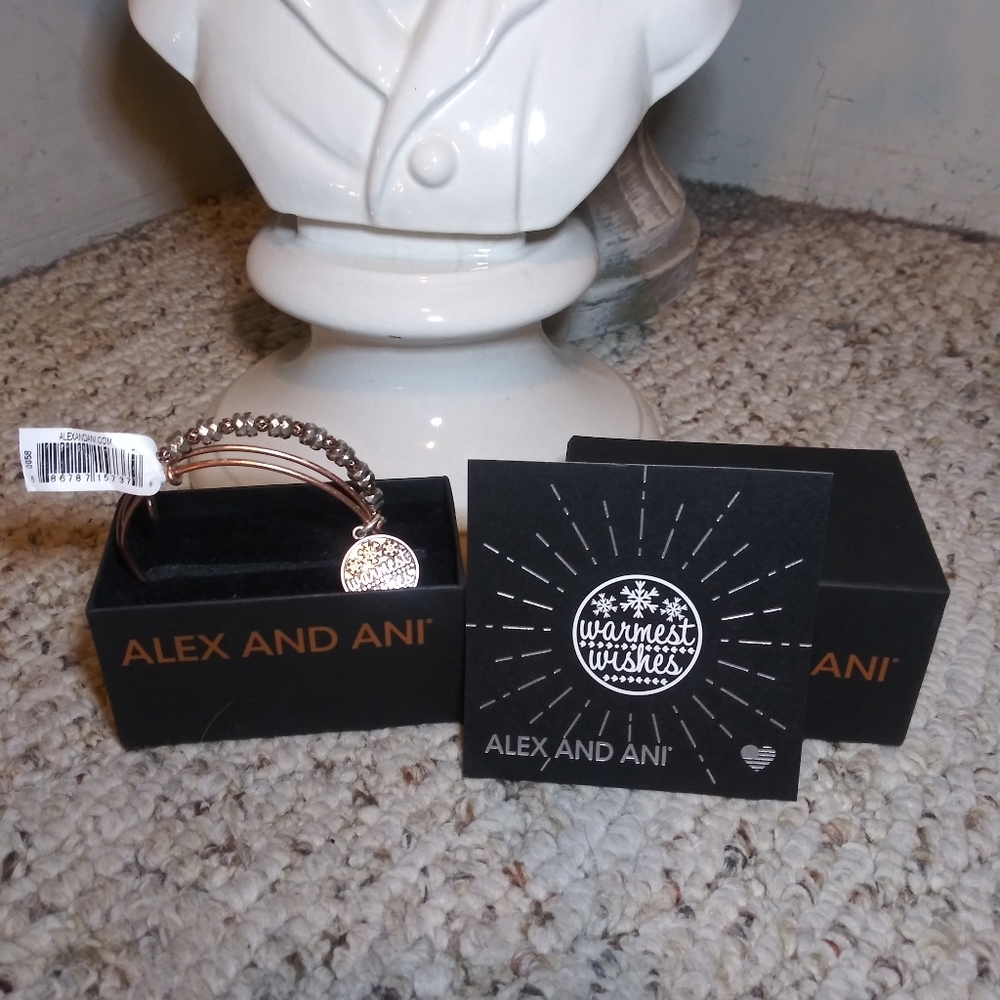 Alex And Ani Warmest Wishes Silver & Copper Bead Set Of Two Bracelets